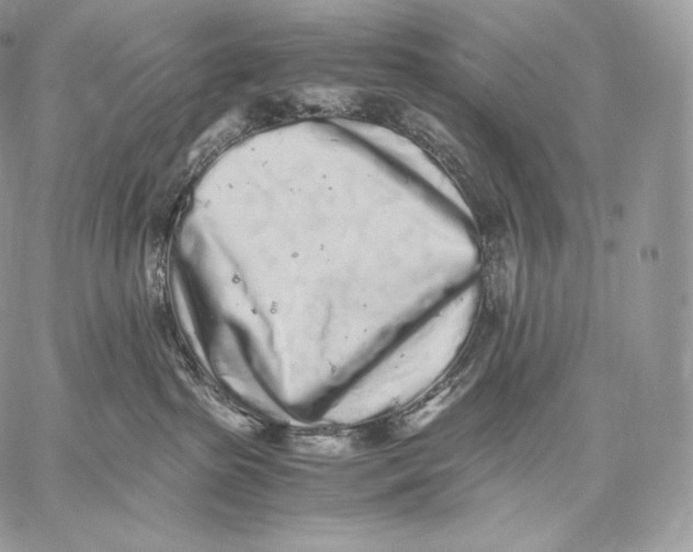 X0000059830285200511111727