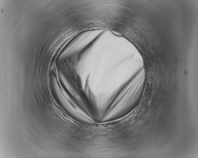 X0000059830290200511111726