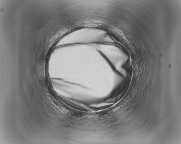 X0000059830299200511111726