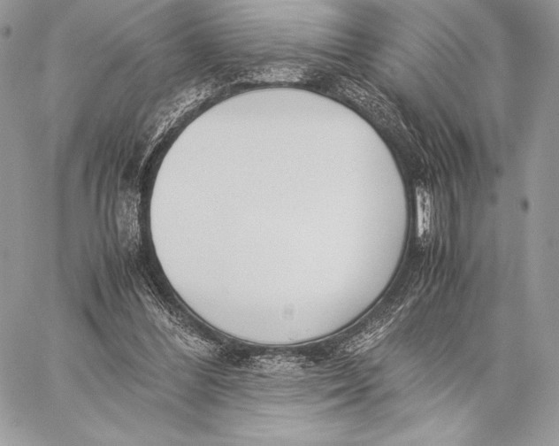 X0000059830300200511111726