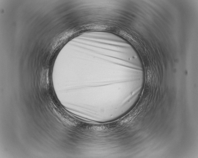 X0000059830302200511111726