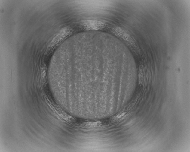 X0000059830314200511111725