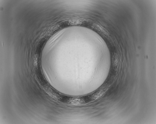 X0000059830315200511111725