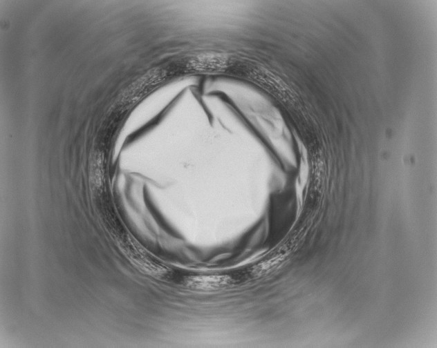 X0000059830323200511111725