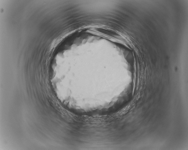 X0000059830337200511111724