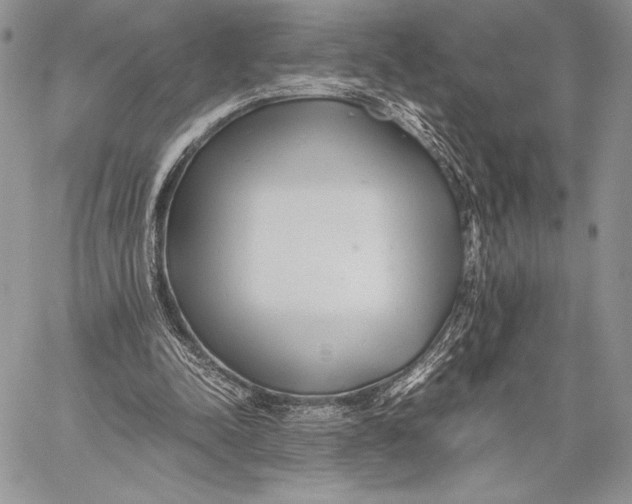 X0000059830342200511111724