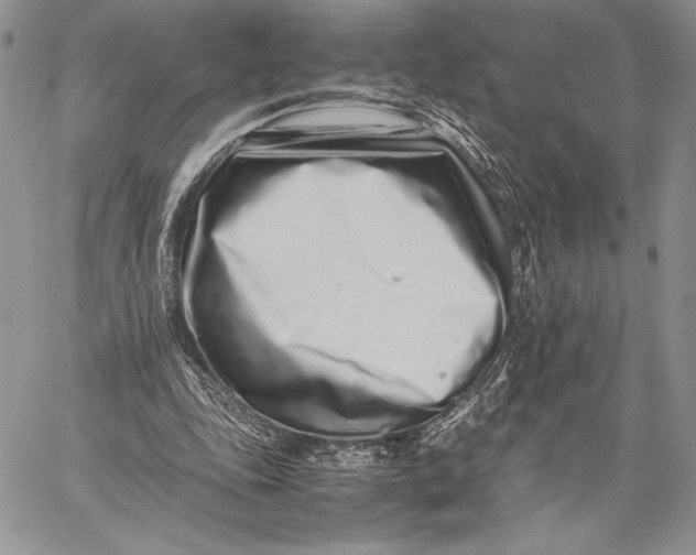 X0000059830343200511111724