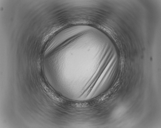 X0000059830345200511111724