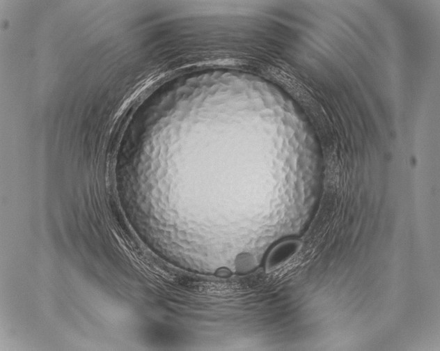 X0000059830347200511111724