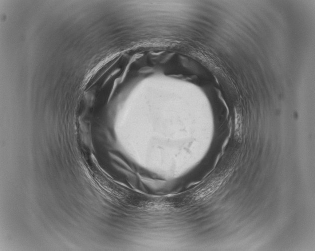 X0000059830348200511111724