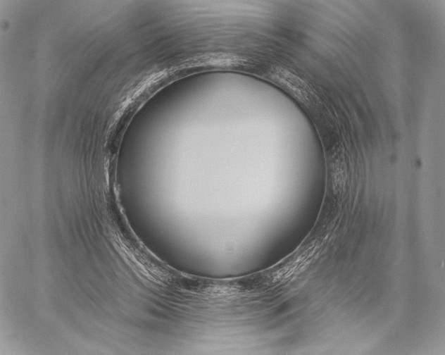 X0000059830350200511111724