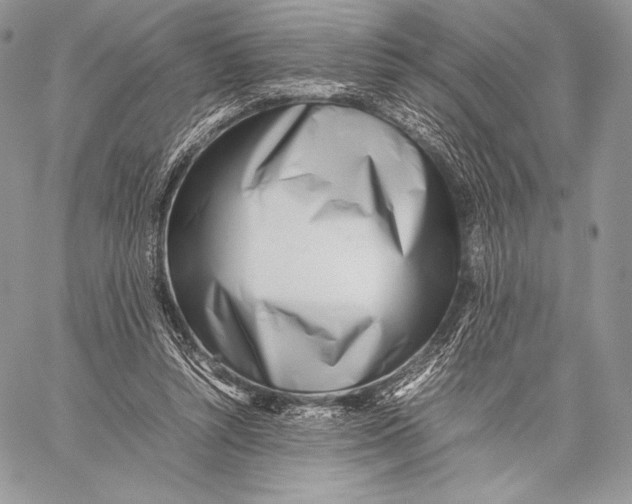 X0000059830352200511111725