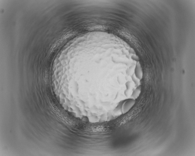 X0000059830353200511111725
