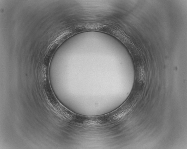 X0000059830356200511111725