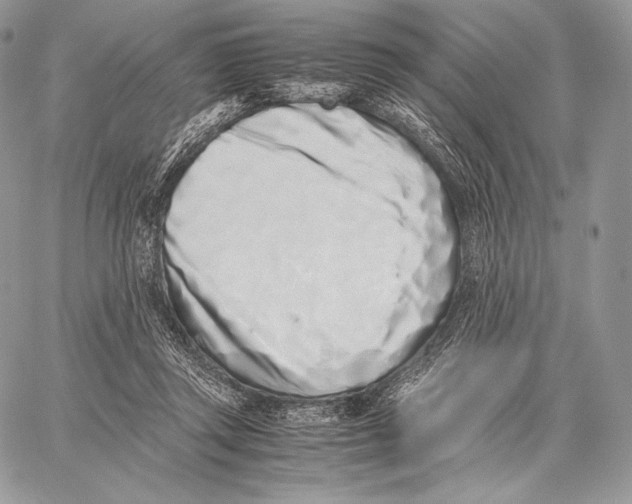 X0000059830357200511111725