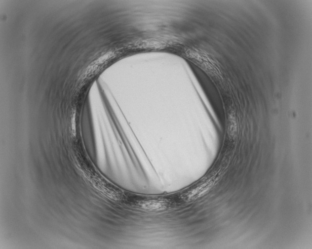 X0000059830358200511111725