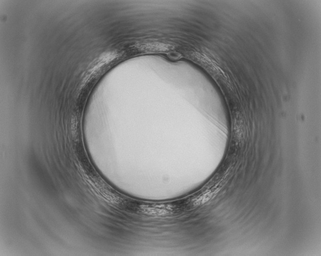 X0000059830359200511111725