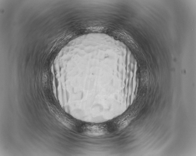 X0000059830365200511111725