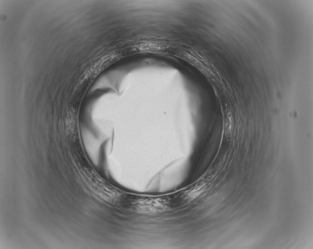 X0000059830367200511111725