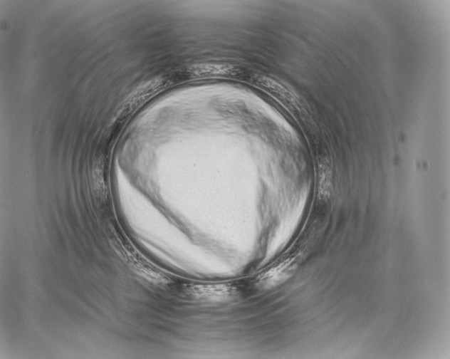 X0000059830377200511111725