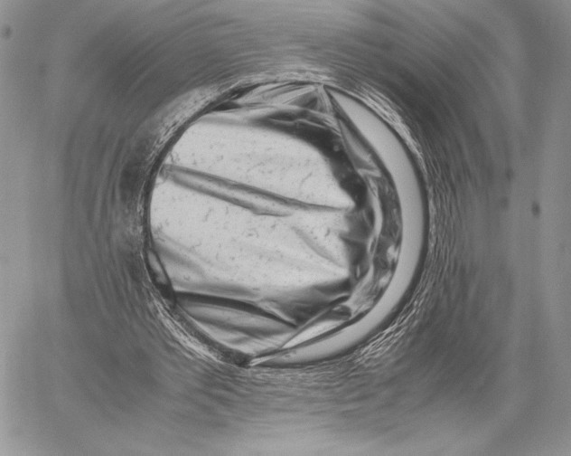 X0000059830389200511111724