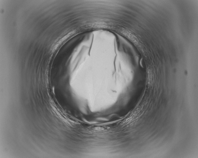 X0000059830390200511111724