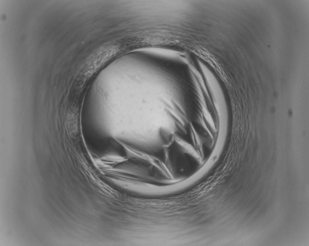X0000059830393200511111724