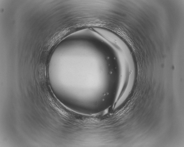 X0000059830397200511111724