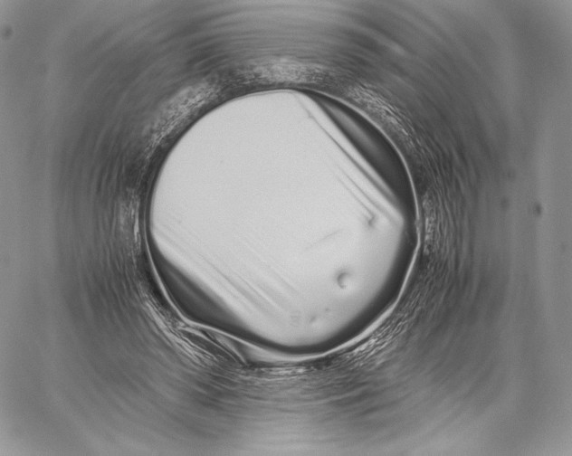 X0000059830398200511111724