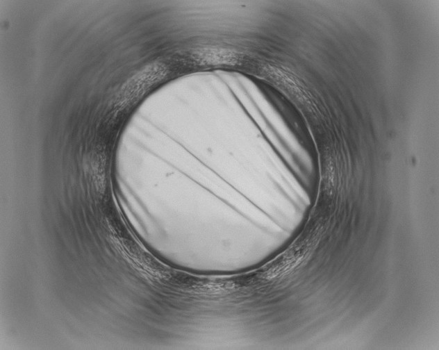 X0000059830402200511111724