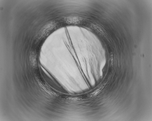 X0000059830408200511111724