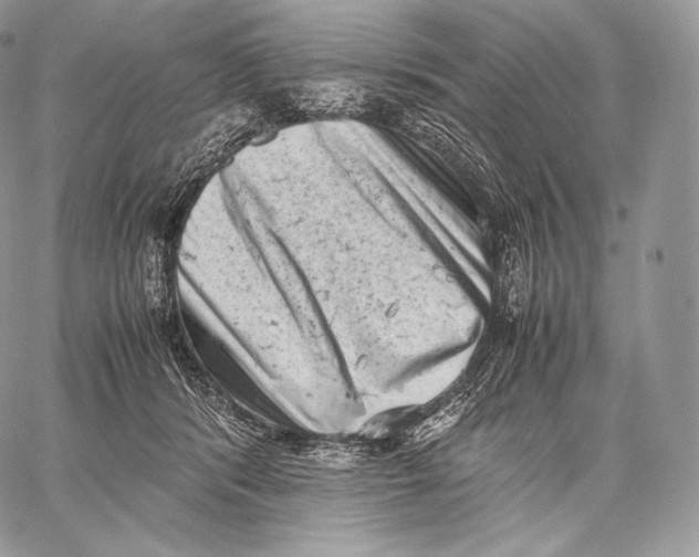X0000059830416200511111724