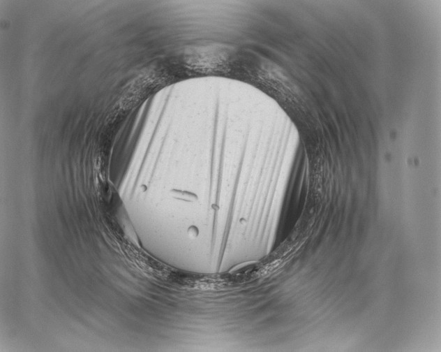 X0000059830420200511111724
