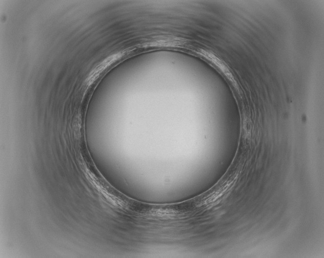 X0000059830437200511111723