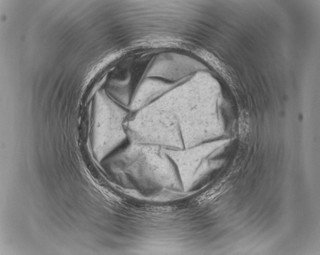 X0000059830438200511111723
