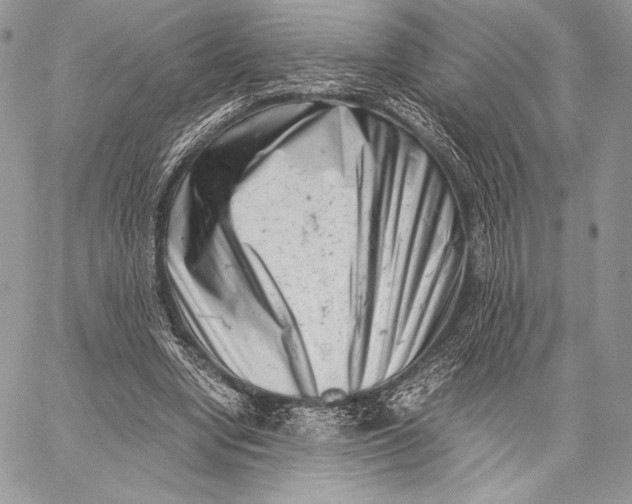 X0000059830442200511111723