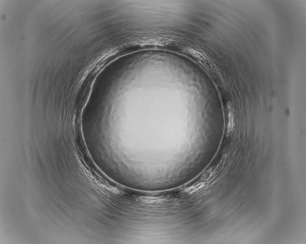 X0000059830444200511111723