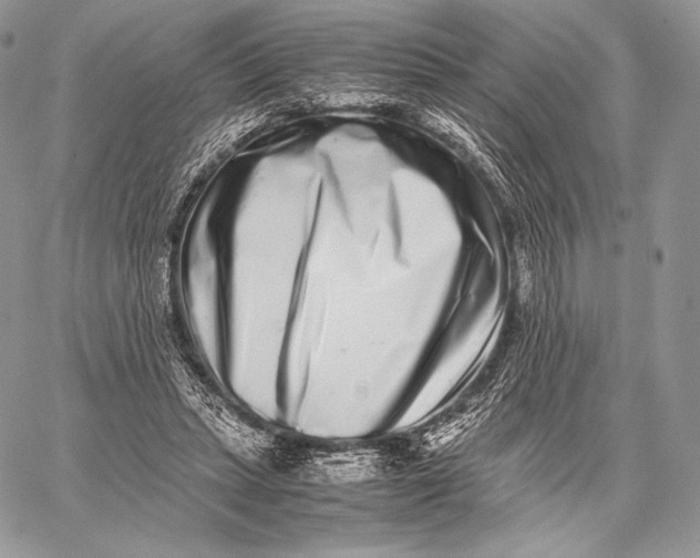 X0000059830447200511111723