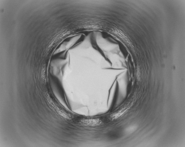 X0000059830449200511111723