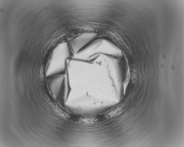 X0000059830466200511111723