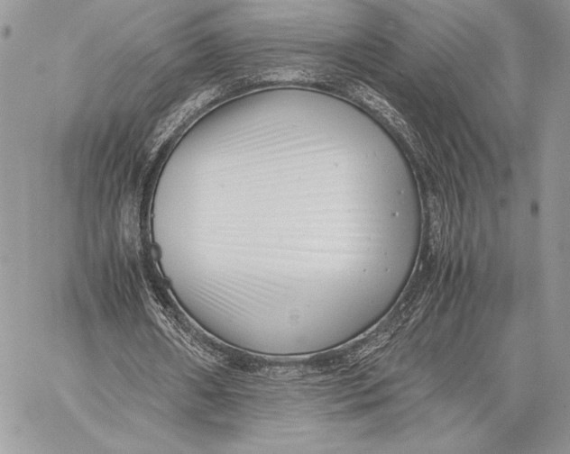 X0000059830482200511111723