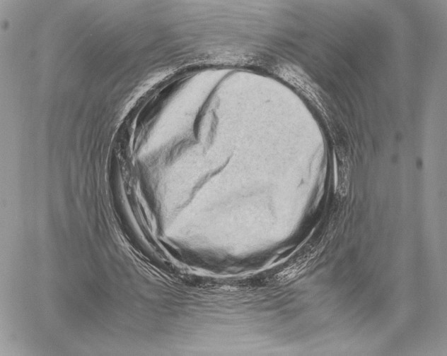 X0000059830483200511111723