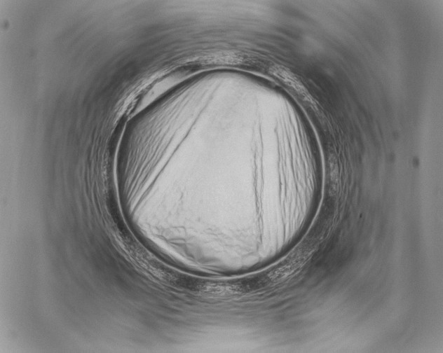 X0000059830487200511111723