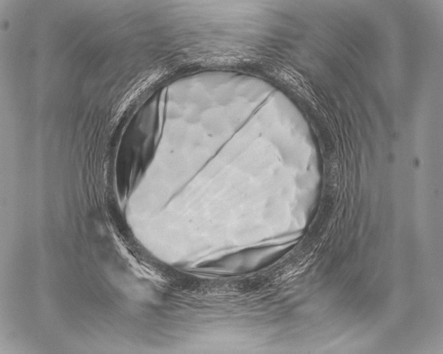 X0000059830491200511111722