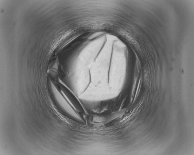 X0000059830493200511111722
