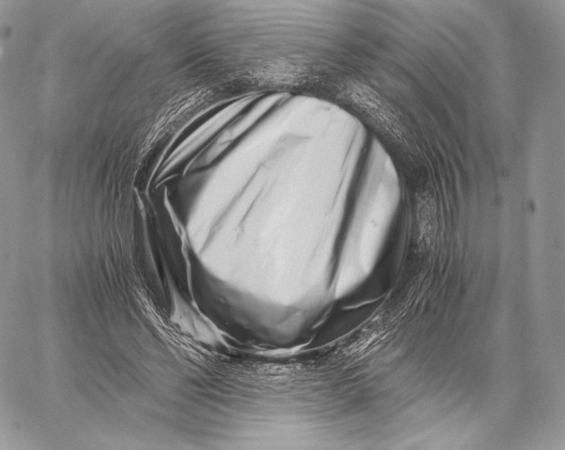 X0000059830494200511111722