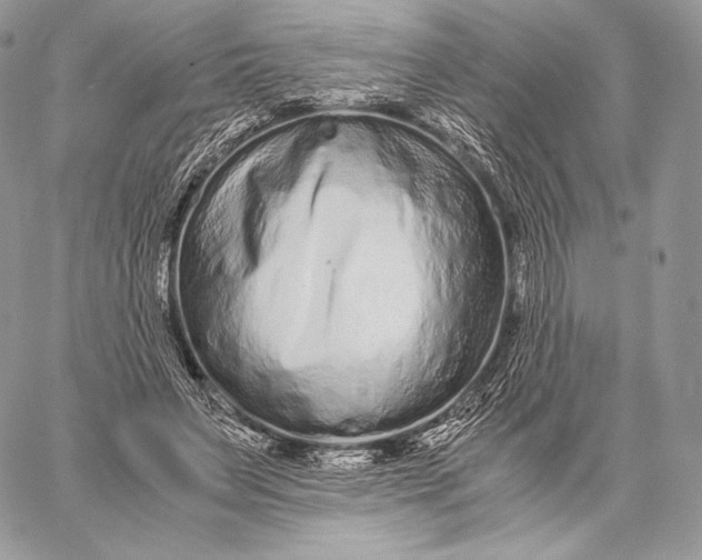 X0000059830495200511111722