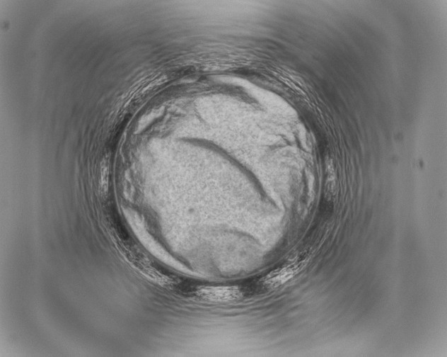 X0000059830499200511111722