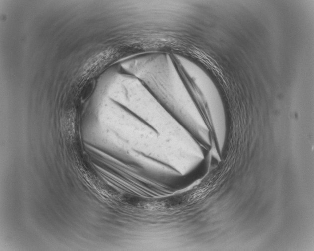 X0000059830501200511111722