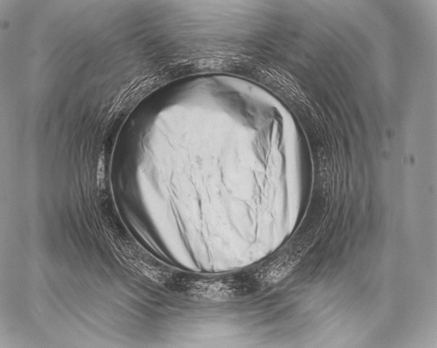 X0000059830502200511111722